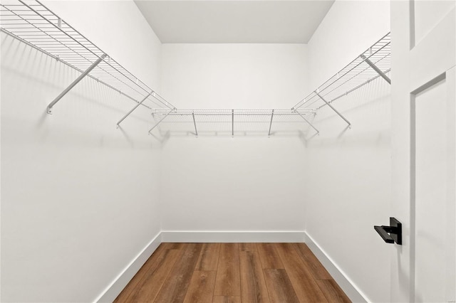 spacious closet with hardwood / wood-style flooring