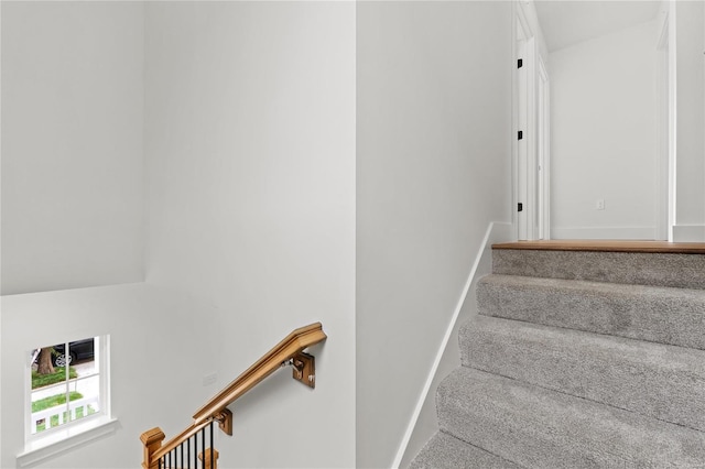 staircase featuring carpet flooring