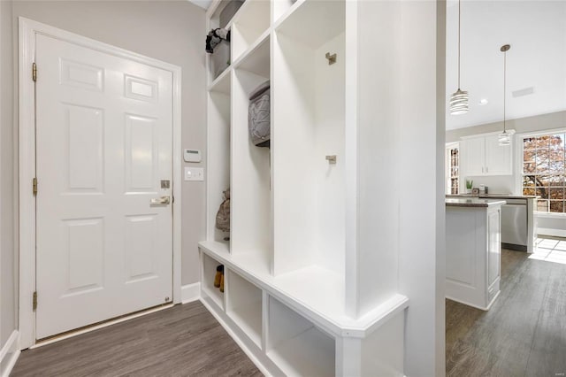 mudroom featuring dark wood-type flooring