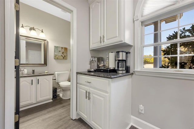 interior space featuring hardwood / wood-style floors, vanity, and toilet