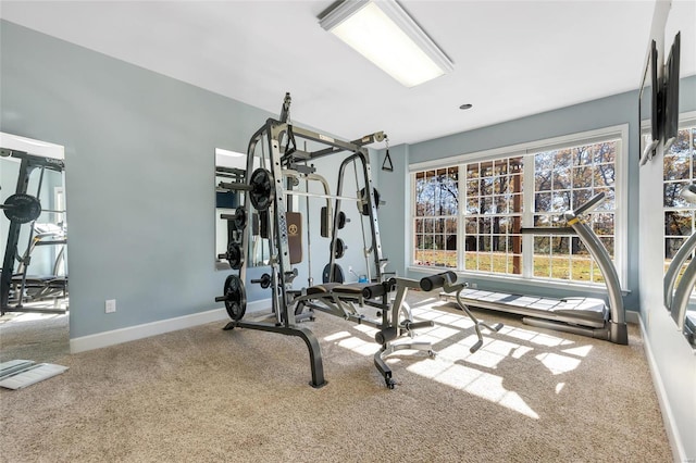 workout room featuring carpet flooring