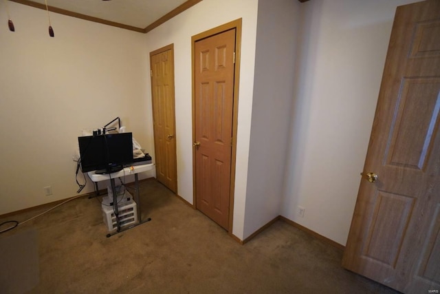 misc room featuring carpet and ornamental molding