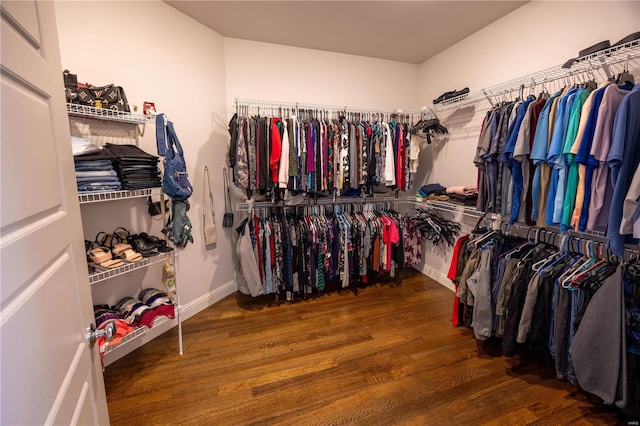 walk in closet featuring dark wood-type flooring