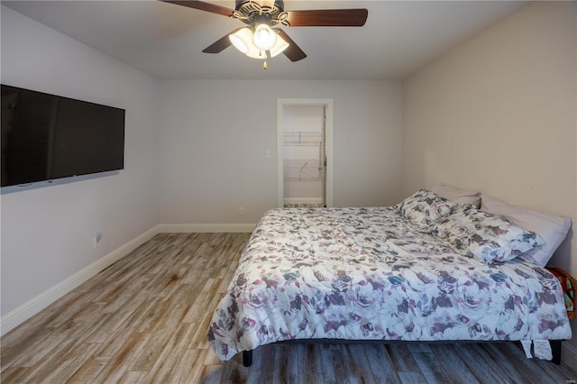 bedroom with ceiling fan, a closet, a walk in closet, and wood-type flooring