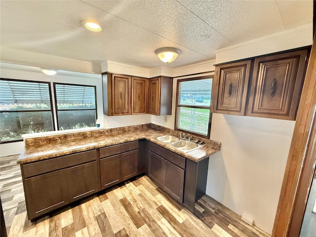 kitchen with light hardwood / wood-style floors, dark brown cabinets, and sink