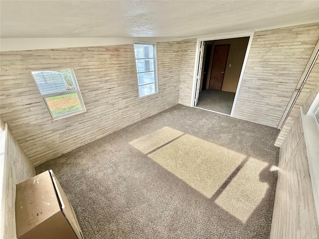 carpeted empty room featuring wood walls, lofted ceiling, and a textured ceiling