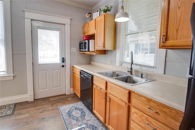 kitchen with sink, hanging light fixtures, light hardwood / wood-style flooring, crown molding, and black dishwasher