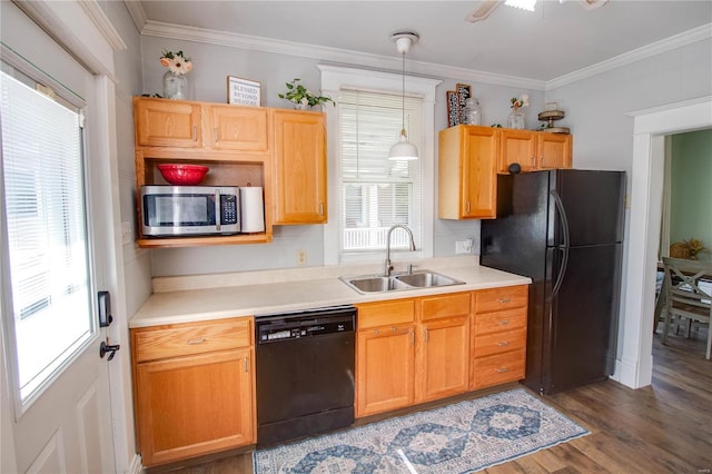 kitchen featuring dark hardwood / wood-style flooring, black appliances, sink, crown molding, and pendant lighting