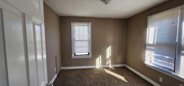 spare room with carpet