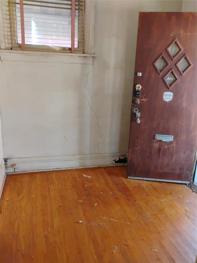 entryway with wood-type flooring