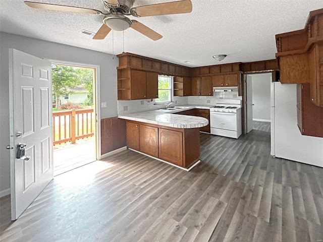 kitchen with white gas range, sink, plenty of natural light, and kitchen peninsula