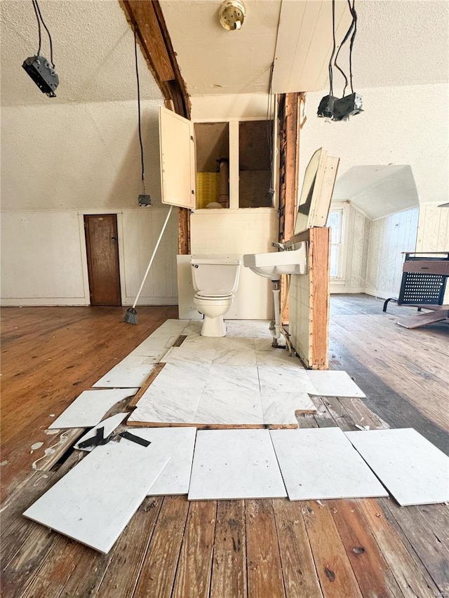 interior space featuring lofted ceiling, a textured ceiling, and hardwood / wood-style flooring