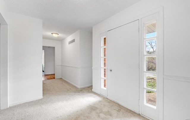 carpeted entryway with a healthy amount of sunlight and a textured ceiling