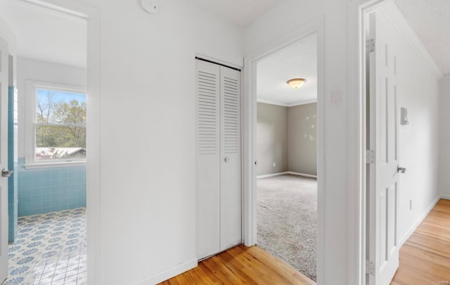 hall featuring hardwood / wood-style flooring and ornamental molding