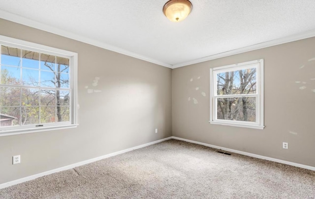 empty room with ornamental molding, carpet, and a textured ceiling