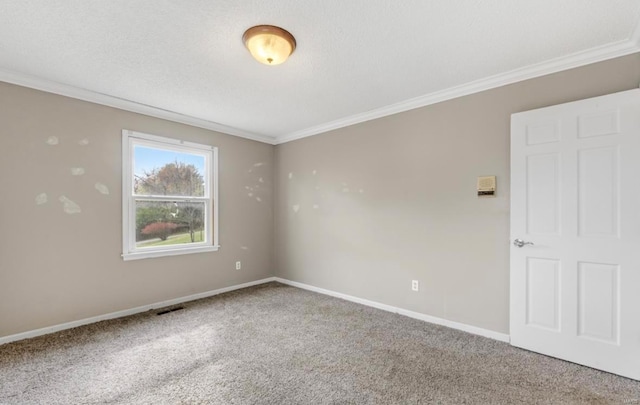 spare room with a textured ceiling, carpet flooring, and crown molding