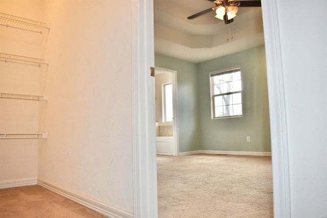 walk in closet featuring light colored carpet, a raised ceiling, and ceiling fan