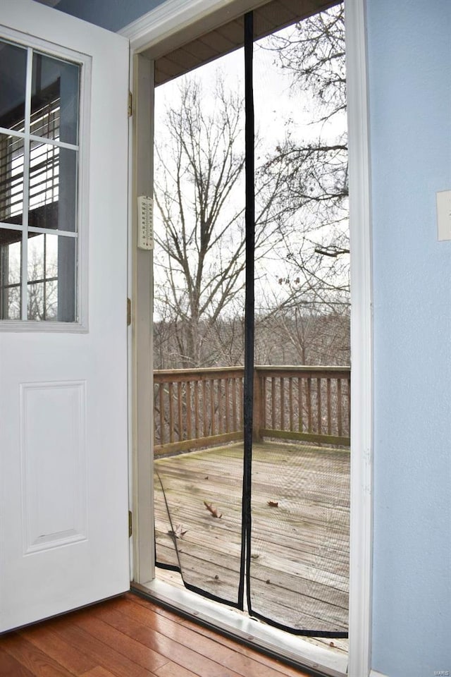 entryway featuring a wealth of natural light and wood-type flooring