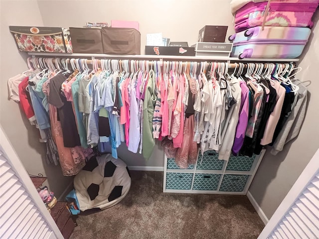 spacious closet with carpet floors