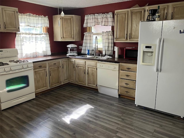 kitchen with white appliances, sink, a healthy amount of sunlight, and a textured ceiling