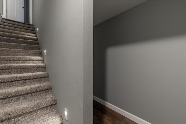 stairway featuring wood-type flooring