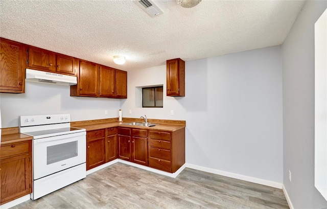 kitchen with light hardwood / wood-style flooring, white electric range oven, a textured ceiling, and sink