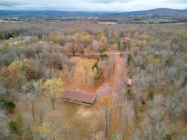 drone / aerial view featuring a mountain view