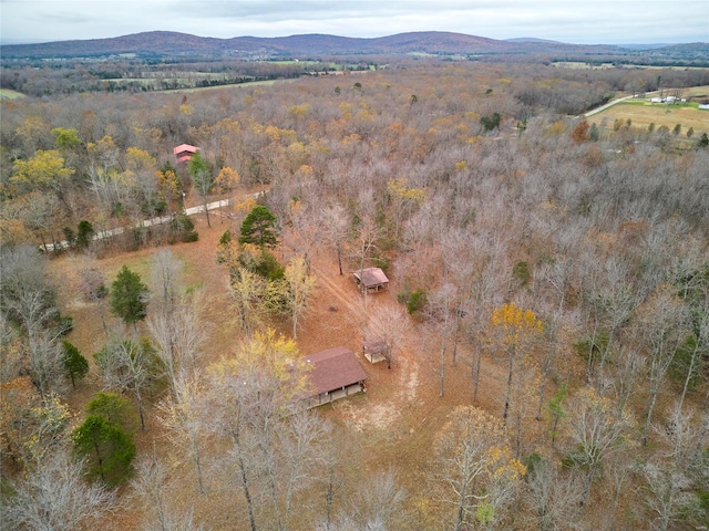 aerial view with a mountain view