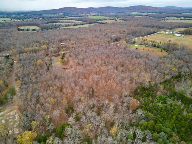 aerial view with a mountain view