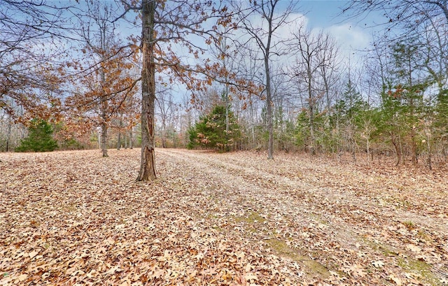 view of local wilderness