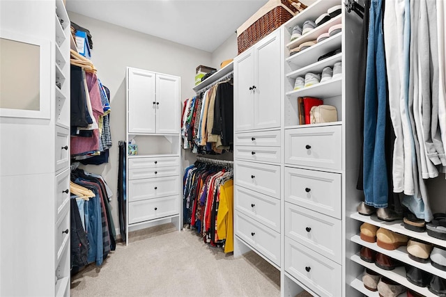 spacious closet featuring light colored carpet