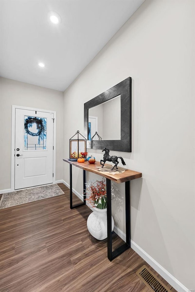 entrance foyer featuring wood-type flooring