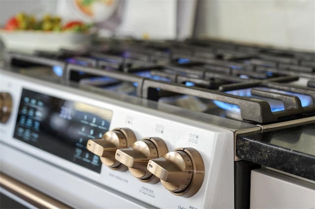 room details with stainless steel range