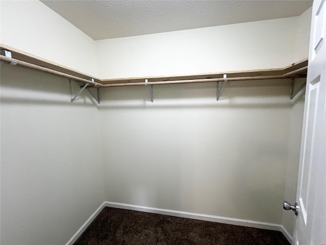 walk in closet featuring carpet flooring