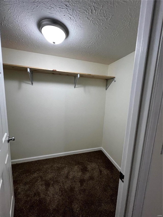 walk in closet with carpet