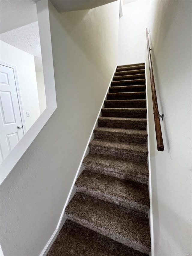 staircase with carpet floors