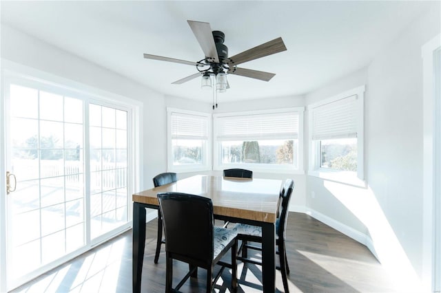 dining room featuring ceiling fan and dark wood-type flooring