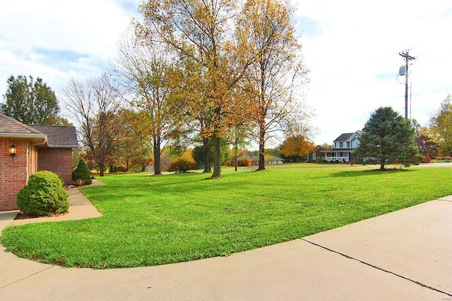 view of yard