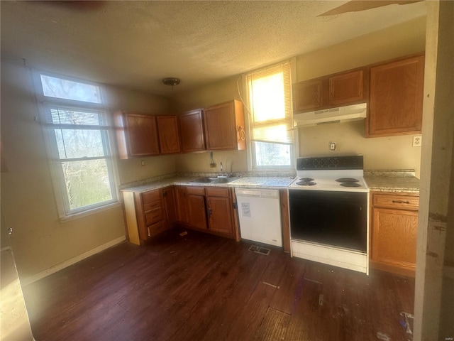 kitchen featuring dark hardwood / wood-style flooring, sink, white appliances, and a textured ceiling