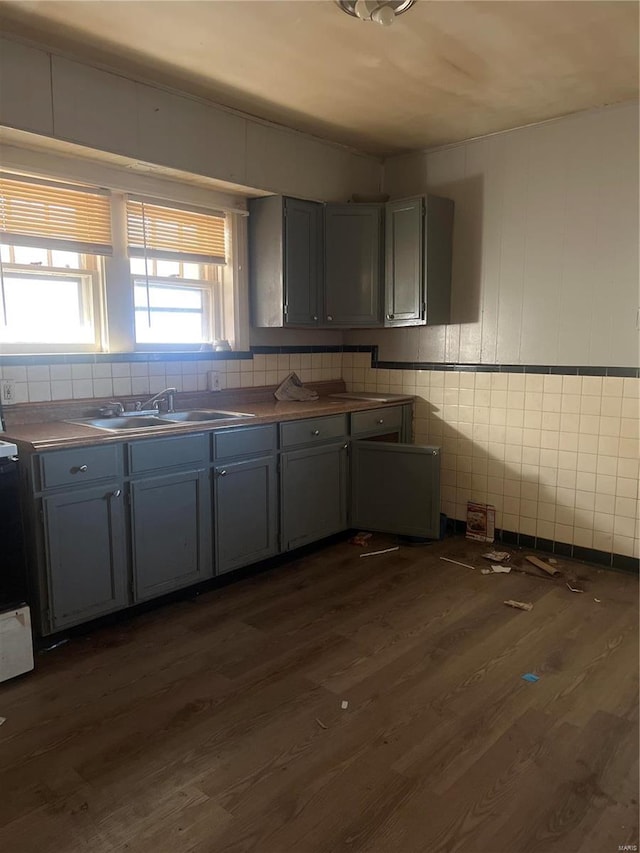 kitchen with dark wood-type flooring, sink, and gray cabinets