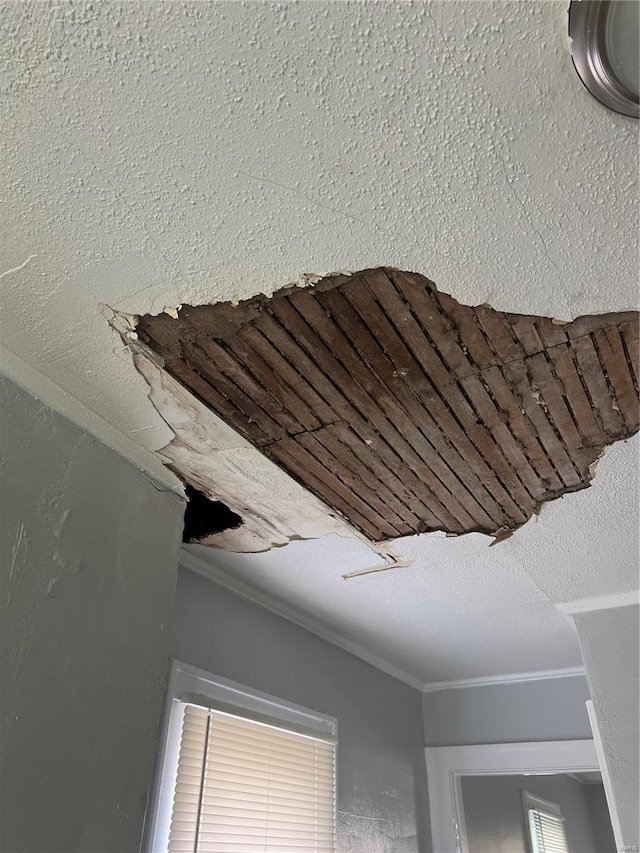 room details featuring a textured ceiling and crown molding