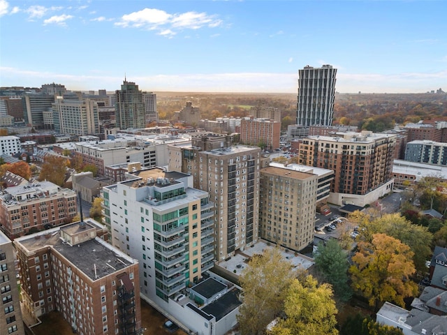 property's view of city