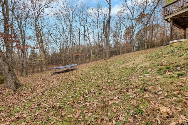 view of yard featuring a trampoline