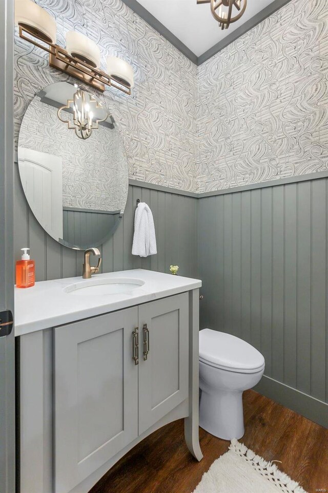 bathroom with vanity, toilet, and wood-type flooring