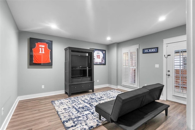 interior space featuring hardwood / wood-style floors