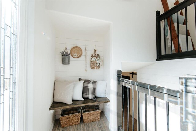 mudroom featuring a wealth of natural light