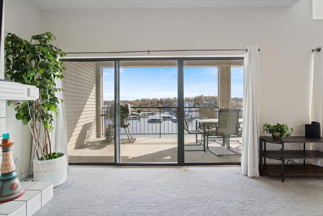 entryway featuring carpet floors, plenty of natural light, and a water view