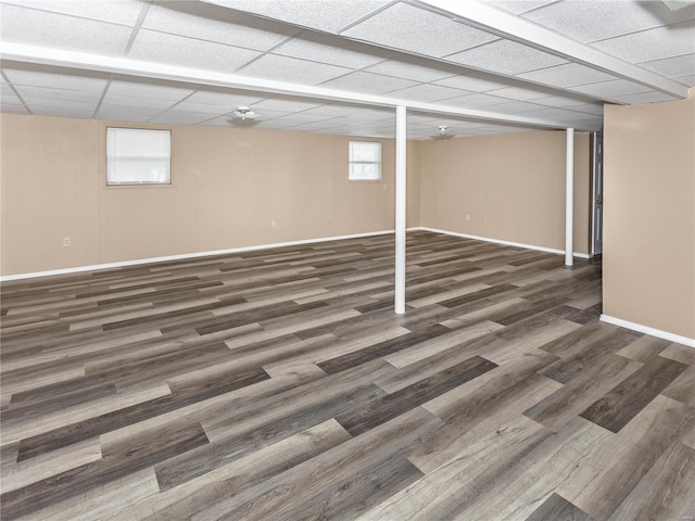 basement with a paneled ceiling, a wealth of natural light, and dark hardwood / wood-style flooring