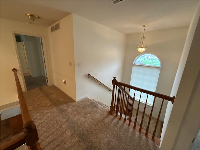 staircase featuring carpet floors