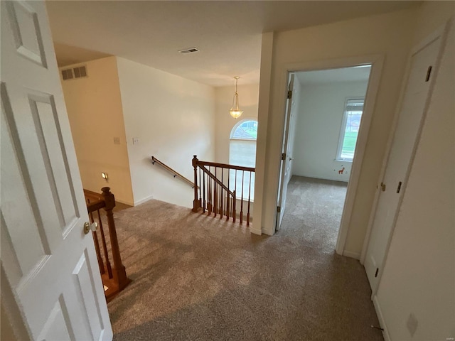 corridor with carpet floors